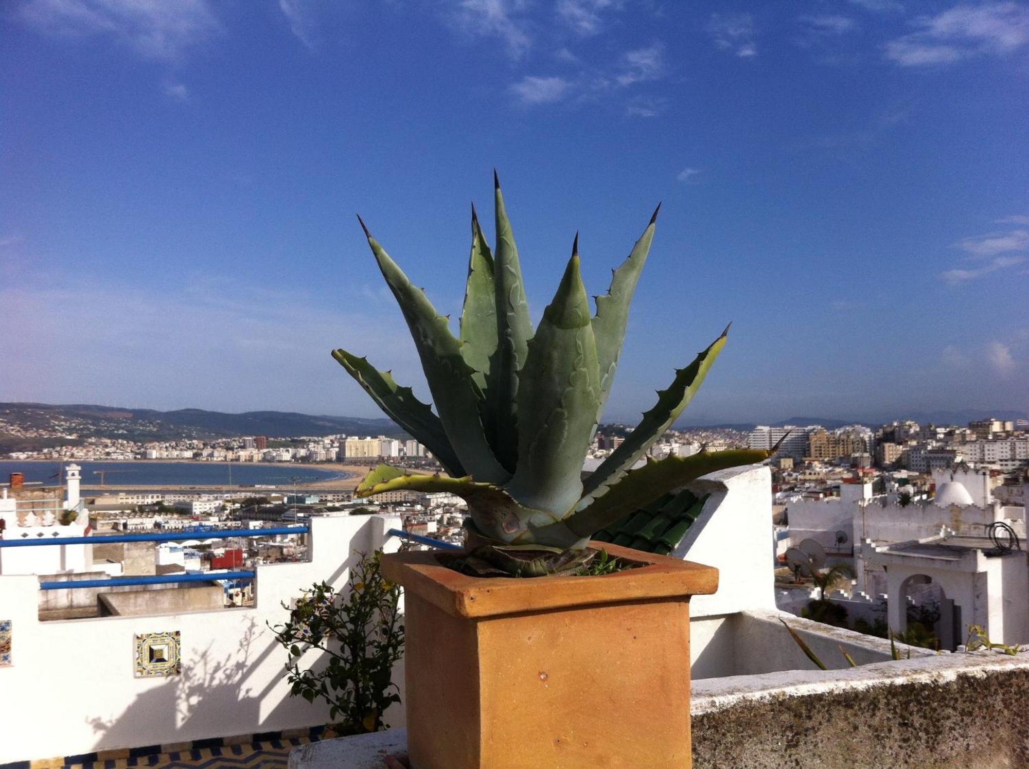 Maison Traditionnelle Dans La Casbah De Tanger Exterior foto
